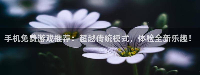 杜邦娱乐平台登录入口：手机免费游戏推荐：超越传统模式，体验全