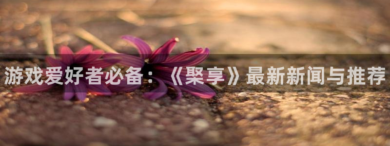 杜邦娱乐注册：游戏爱好者必备：《棸享》最新新闻与推荐