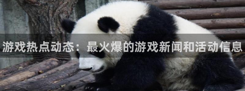 杜邦娱乐注册登录平台：游戏热点动态：最火爆的游戏新闻和活动信