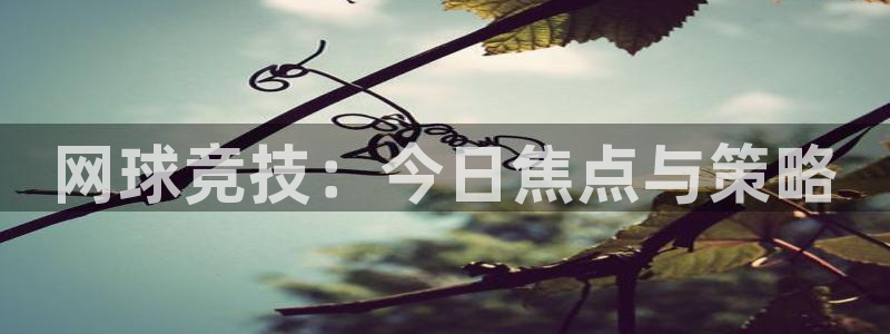 杜邦娱乐什么意思：网球竞技：今日焦点与策略