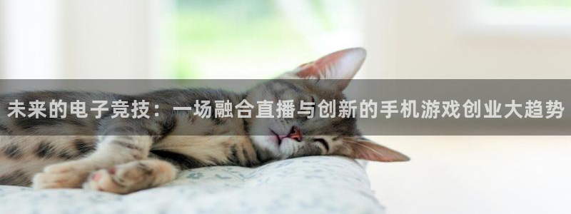 杜邦娱乐游戏：未来的电子竞技：一场融合直播与创新的手机游戏创