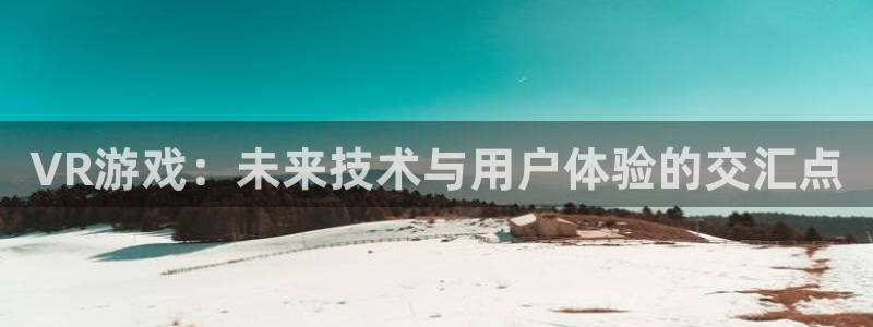 杜邦娱乐平台官网登录：VR游戏：未来技术与用户体验的交汇点