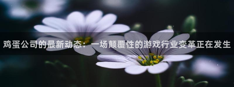 杜邦娱乐登录网址：鸡蛋公司的最新动态：一场颠覆性的游戏行业变