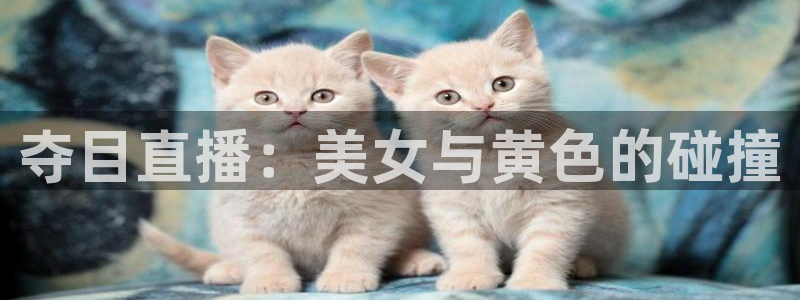 蓝鲸体育nba：夺目直播：美女与黄色的碰撞