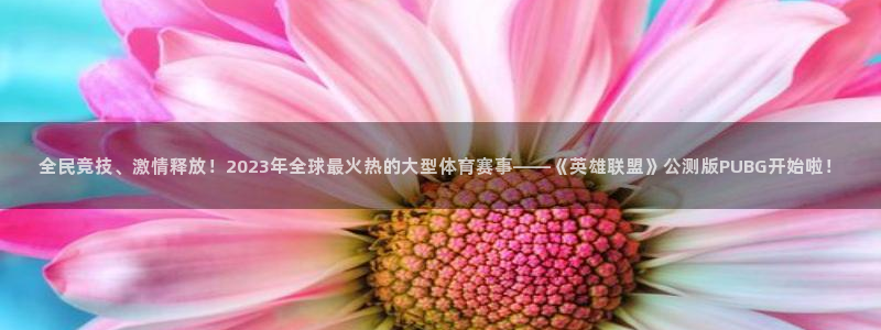 杜邦娱乐app最新版本更新内容详情