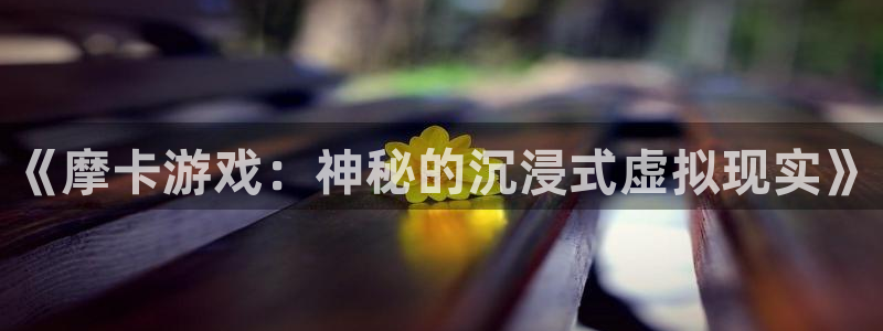 杜邦娱乐官网入口登录下载：《摩卡游戏：神秘的沉浸式虚拟现实》